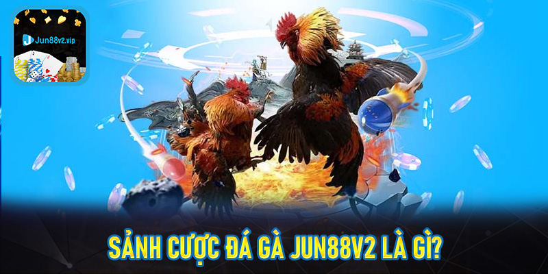 Sảnh cược đá gà jun88v2 là gì?